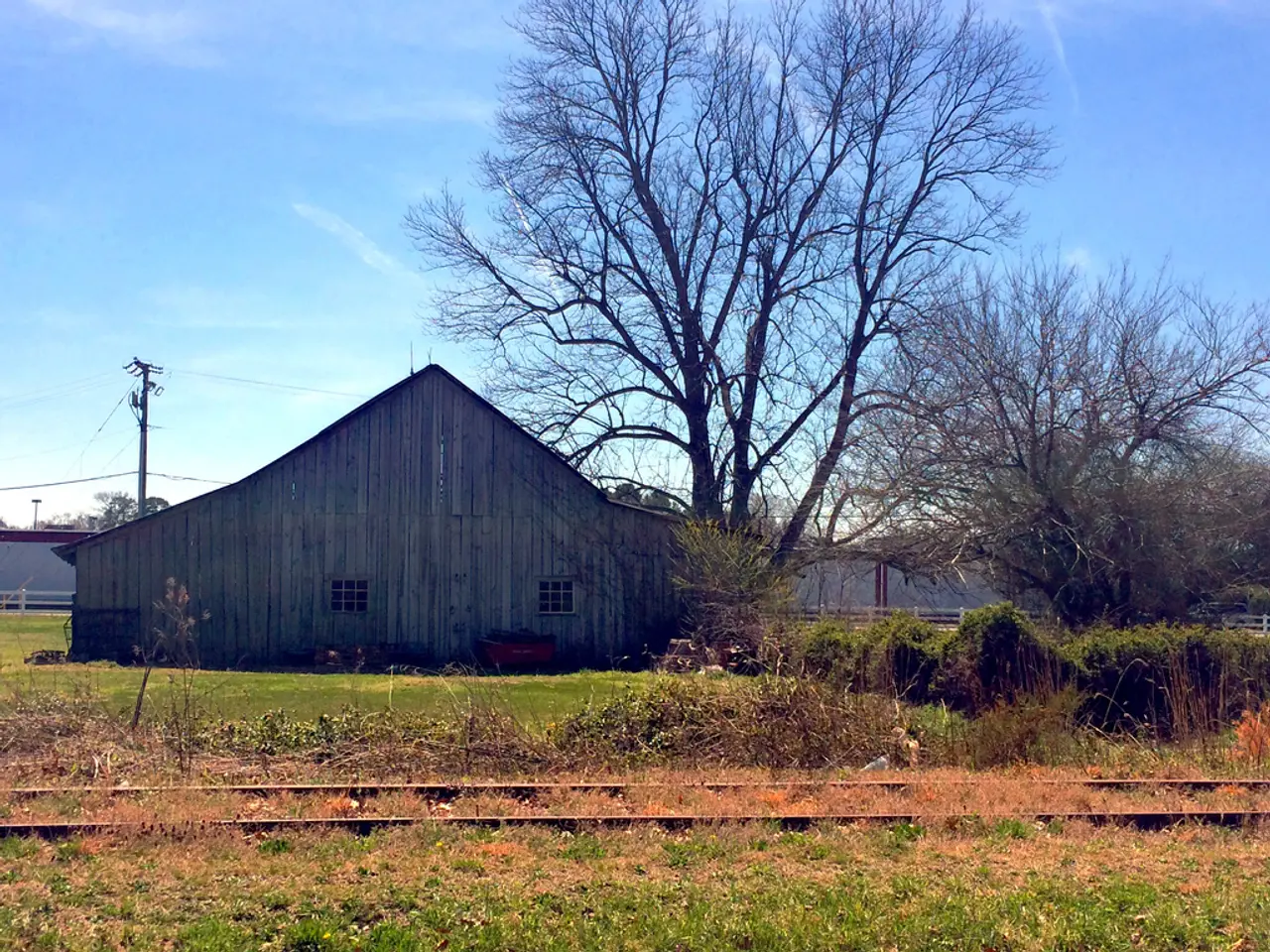 "Potential Expansion of Ecotourism in Russia Could Focus on Lower Shvaitsarya Region"