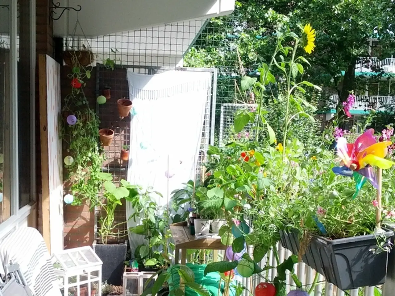 Artistic harmony: Aditi Mayer's residence merges environmental consciousness, cultural aesthetics,...