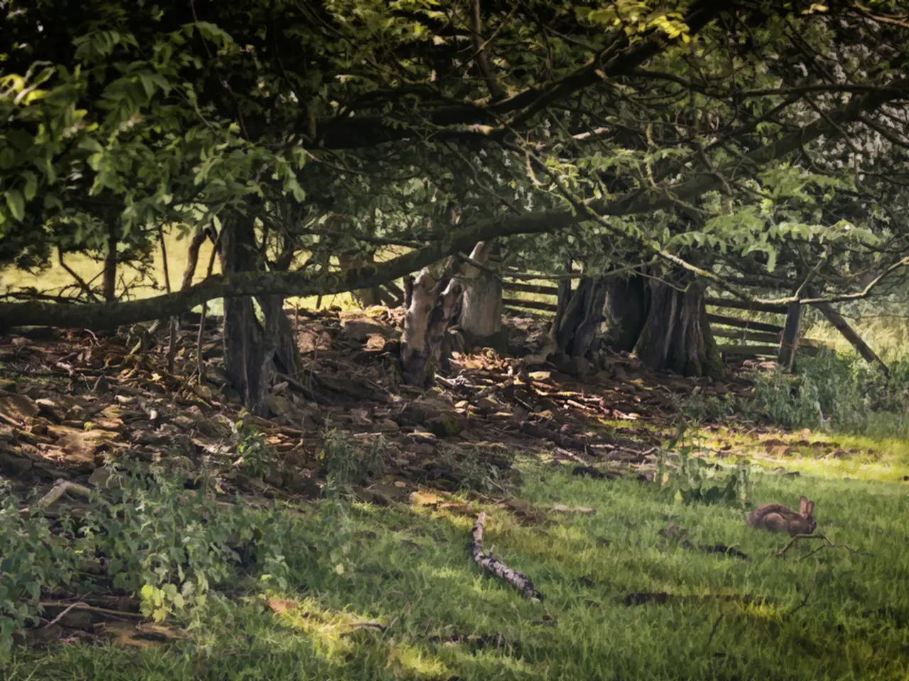 Tourists Explore Eco-Sites in Karnataka with New Insurance Protection Against Unforeseen Incidents