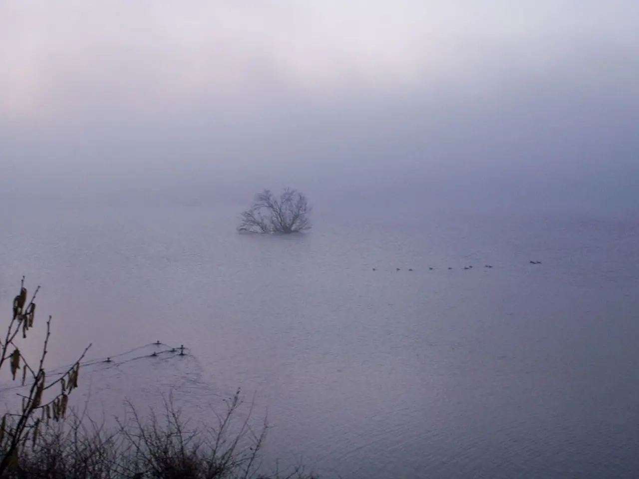 Explore the Great Smoky Mountains: Activities to Engage In