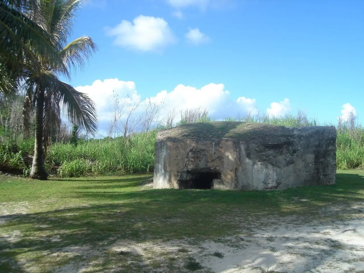 Discover Mammoth Cave National Park: United States' longest cave system, abundant with unique...