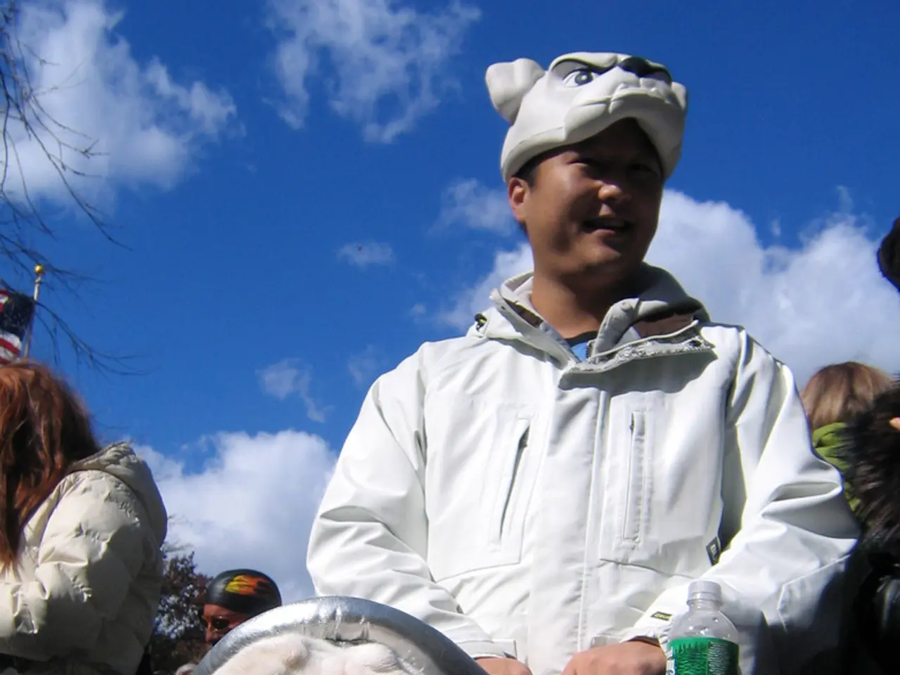 Uncovering Misconceptions about Pet Air Travel - Separating Facts from Fiction and Essential...