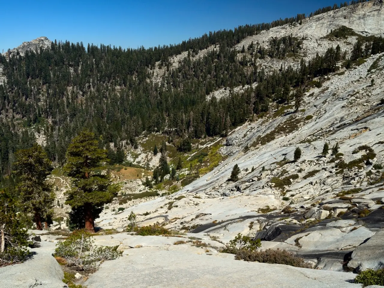 Travel Report from Vorst featuring a multimedia lecture titled "Where the Rainbow Resting Place"