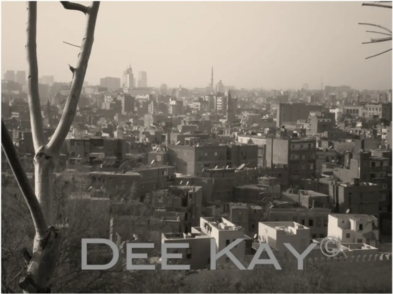 Capturing an Ideal Memento: A Snap to Remember