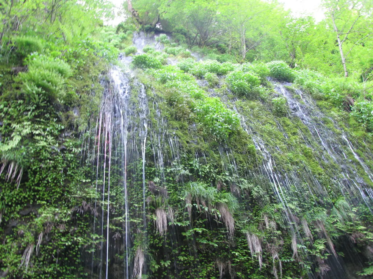 Backpacking Adventure in Salt Creek Canyon