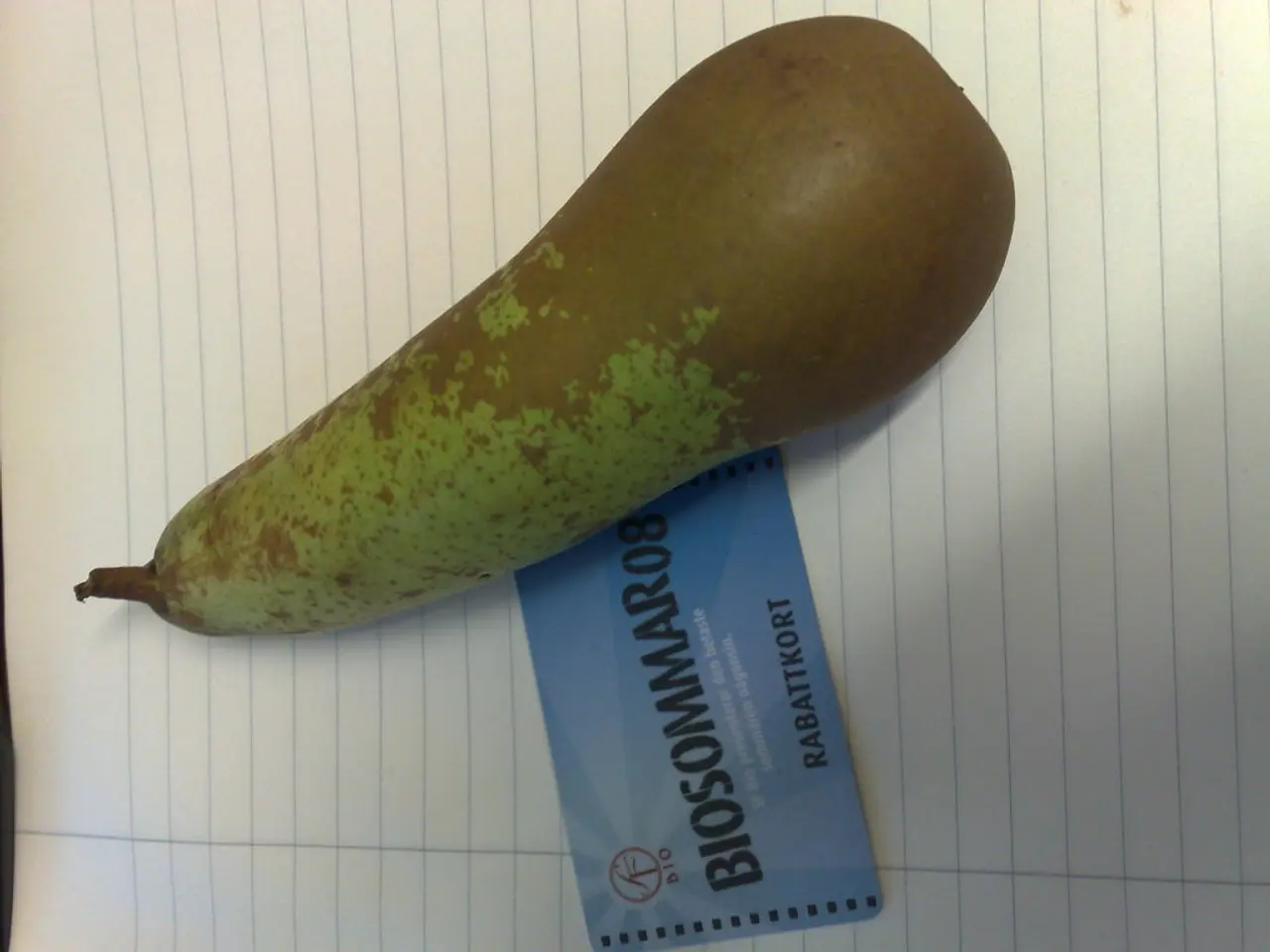 Top-Notch Credit Cards for Vacation and Package Deals [Year 2025]