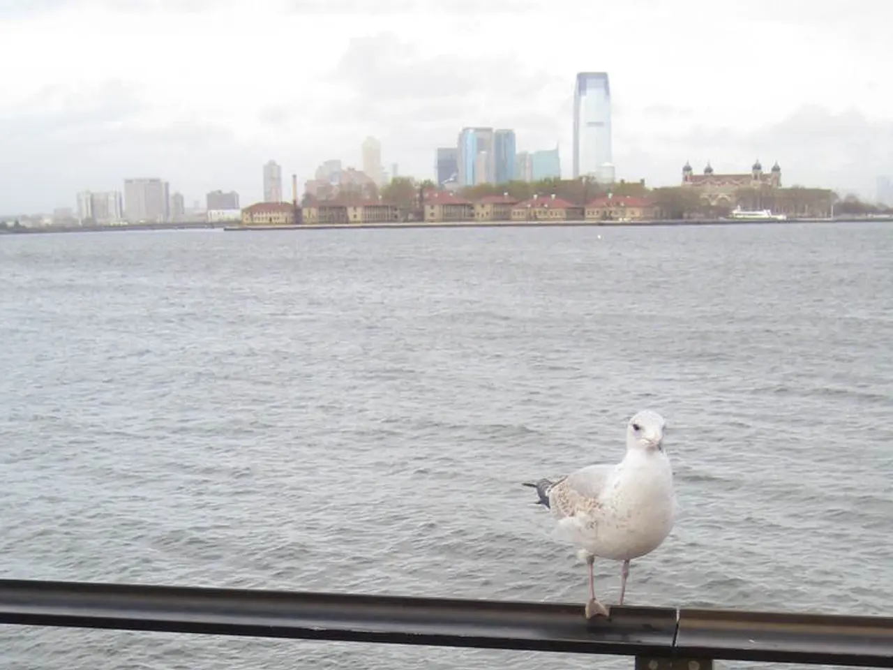 As we can see in the image there is fence, dry leaves, water, trees, bird and sky.