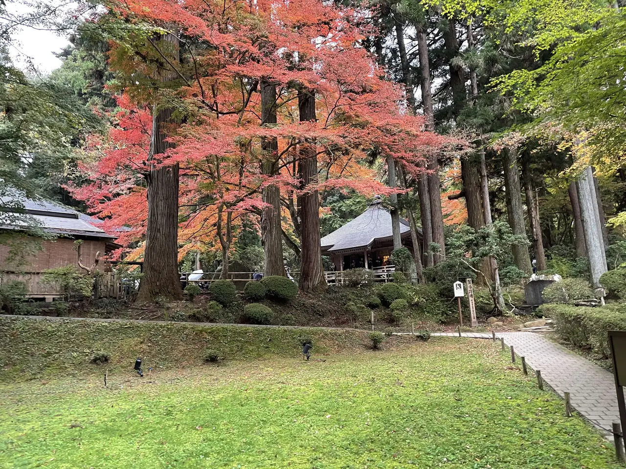 The image shows a path winding through a lush green forest with trees and bushes in the background....