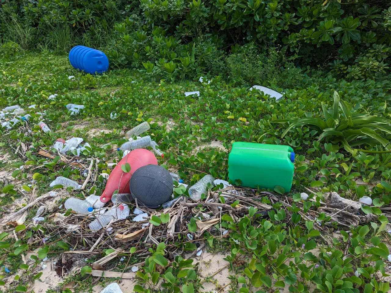 The image shows a beach littered with plastic bottles, plastic cans, and other objects, as well as...