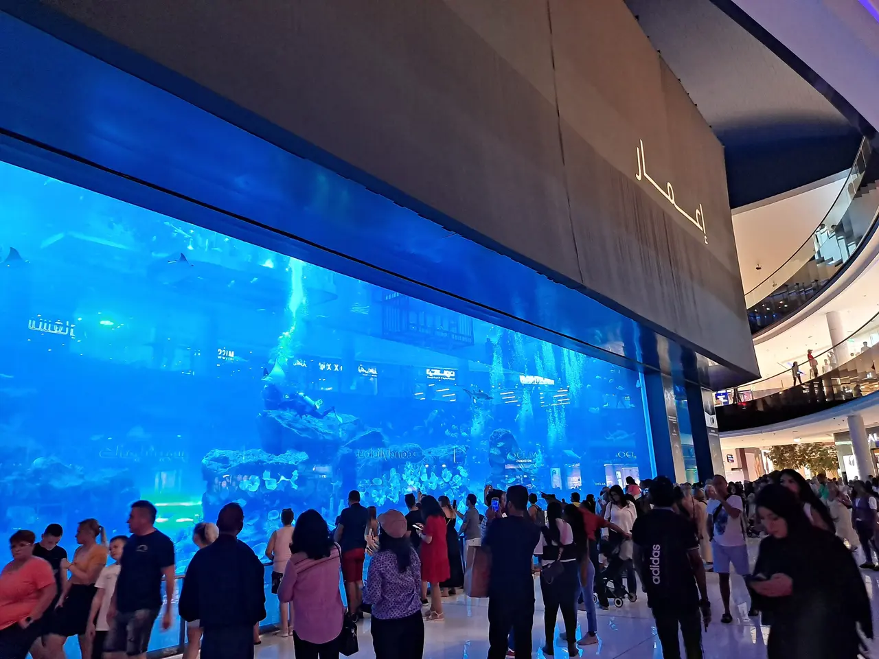 The image shows a group of people standing in front of a large aquarium in the Dubai Mall. The...