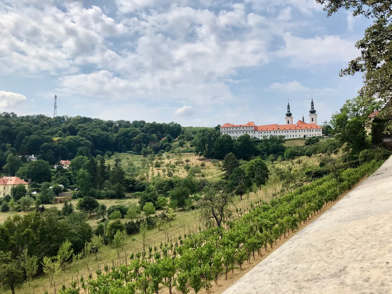 The image shows a picturesque view of a vineyard with a castle in the background, surrounded by...