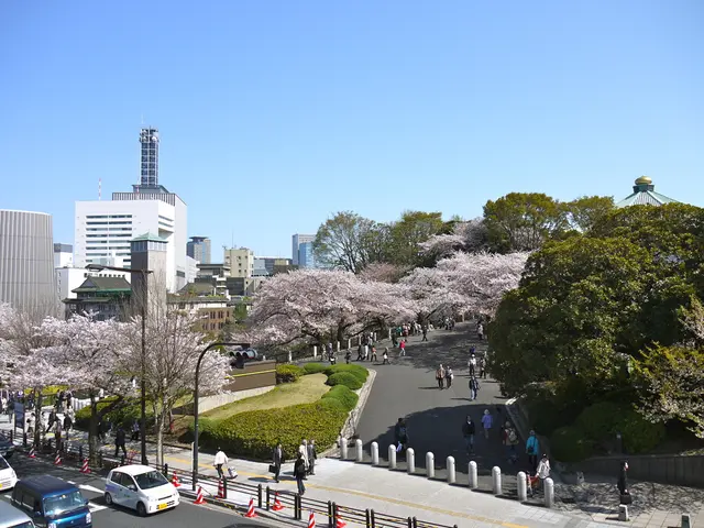 Traffic Enigma: Perplexing Pace Differential in Gridlock