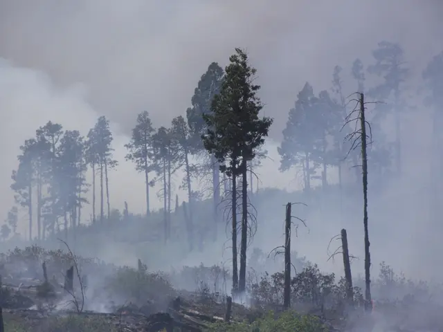 Significance of City Vegetation and Greenery