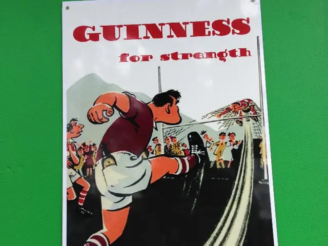 Strokes and To-Do Lists: Individuals' Accounts of Living with the Aftermath of Brain Hemorrhages