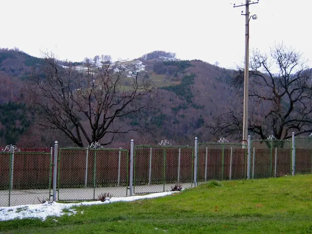 Trekking along Mt Wilson Trail Pathway