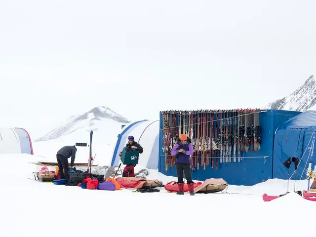 Discovered Stunning Ski Hotels for Travelers Enthralled by Interior Design - If you're left in Awe,...