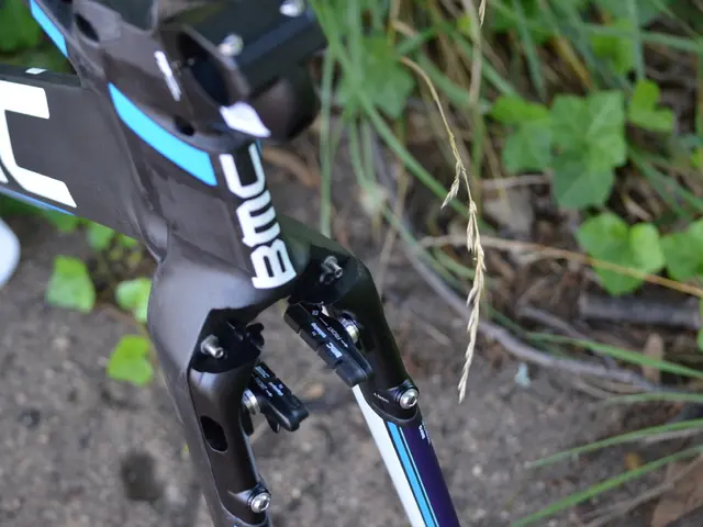 Scenic Romantic Route Connecting Usedom and Rügen, Nearly Topping Europe's Most Beautiful Cycling...