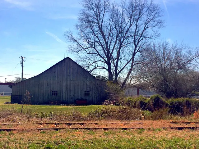 "Potential Expansion of Ecotourism in Russia Could Focus on Lower Shvaitsarya Region"