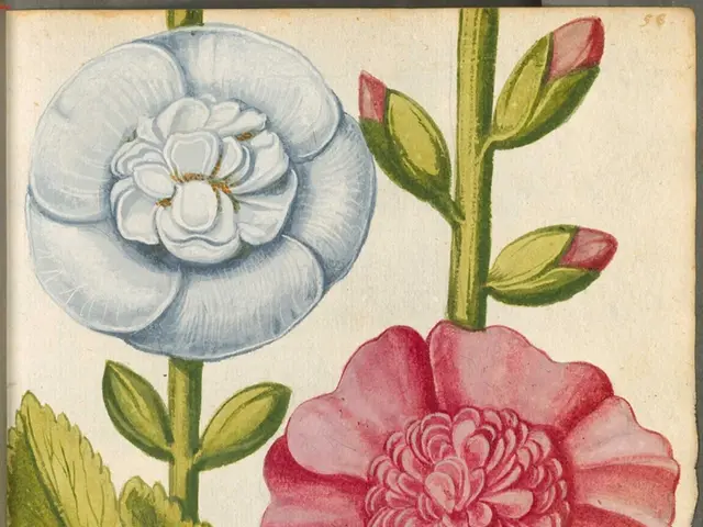 Threw three coins into Trevi Fountain, instantaneously encounters future spouse.