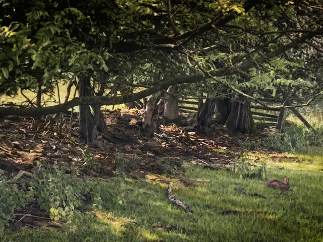 Tourists Explore Eco-Sites in Karnataka with New Insurance Protection Against Unforeseen Incidents