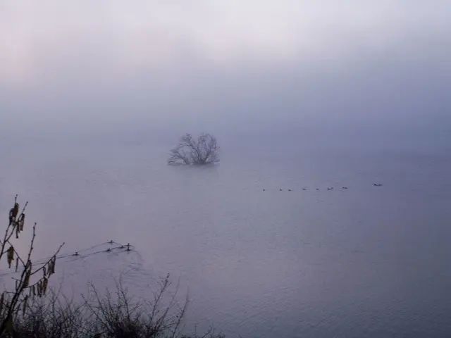 Explore the Great Smoky Mountains: Activities to Engage In