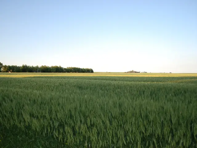 Mysterious Geological Formation: Giant's Causeway, Ireland