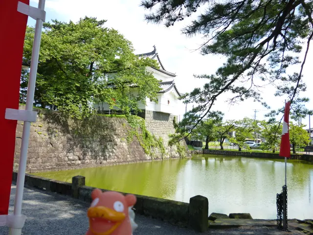 Providing enhanced privacy options for travelers in the Scottish Highlands