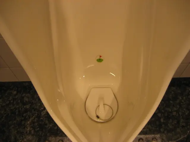 Suffering from a Urinary Tract Infection? Here's the Plan of Action