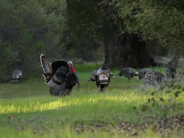Turkey and Greece finalize tourism cooperation agreement to enhance cross-border tourist traffic