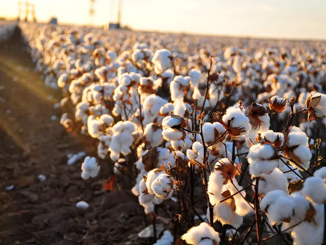 Selecting the Ideal Soil Blend for Drought-Resistant Bonsai Trees in Arid Environments