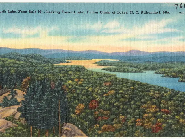 streamlined approach for intricate visual settings