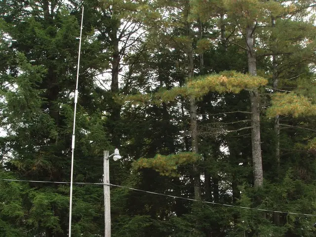 Prepare your year in advance with the UK's Motorhome Exhibitions scheduled for 2025!