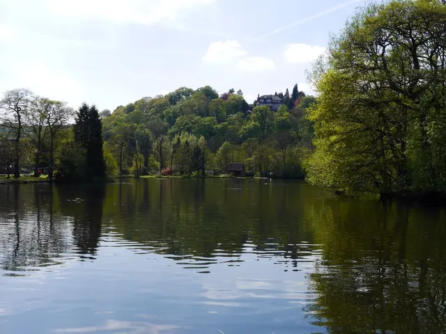 Exploring Nature's Beauty: Reconnecting with the Wild in Germany's Thousand Lakes Region