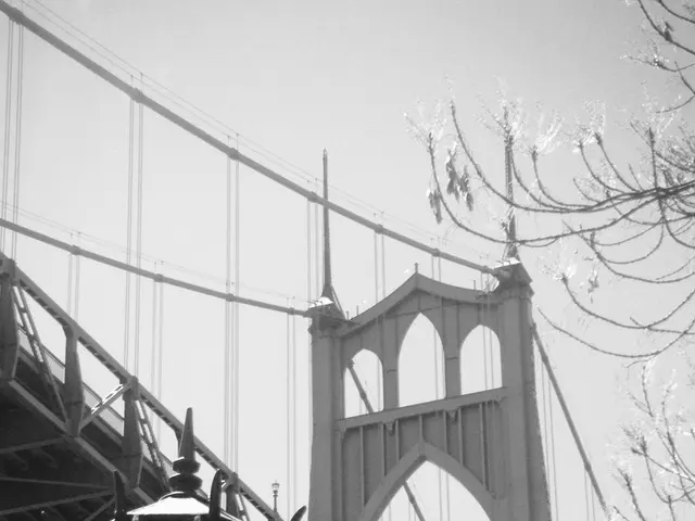 Amsterdam's Iconic Love Lock Bridge Location - Updated for 2025