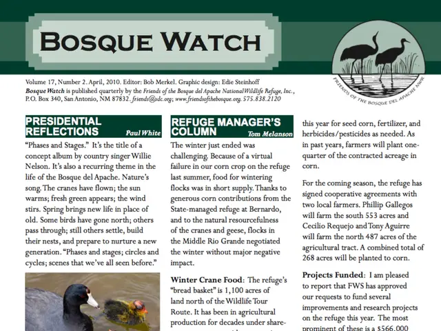 Unveiling the enigma surrounding the islands of Faisan, Diomedes (big and small), Saint Paul,...