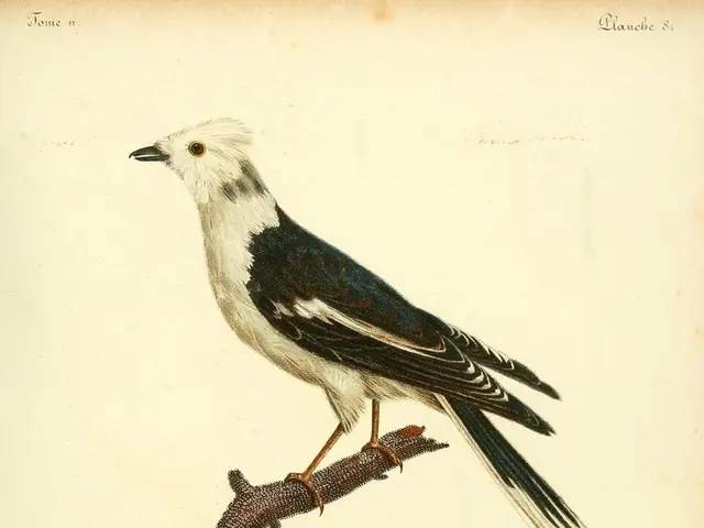 Human Existence Preservation and the Significance of Immediate Financial Gain Prioritization