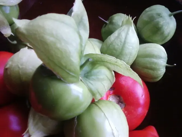 Optimal Planting Times for Vegetables in New York: Guidelines for a Successful Garden