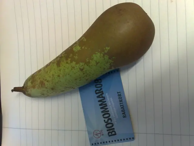 Valuation of Travel Points and Miles - What's Their Real Worth as of July 2025?