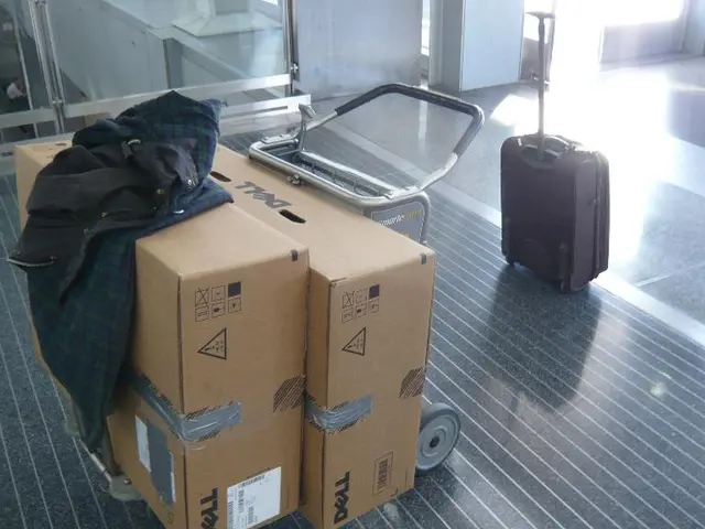 Top 15 most recommended packing cubes for traveling, as suggested by travel experts 2025