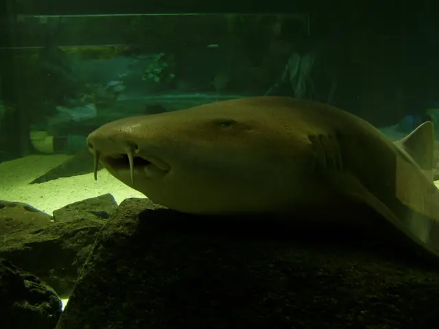 Navigating NT Labs Marine Lab Test Kits: A Comprehensive Purchasing Overview