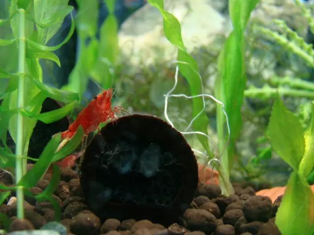 Creating Counterfeit Water for Arts and Crafts, Including a Resin Terrarium Tutorial