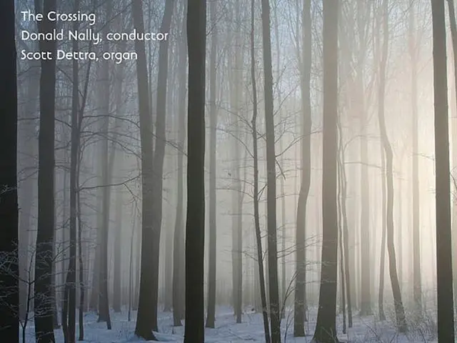 Ghostly figure of Japanese folklore known as Yuki-Onna, the Snow Maiden