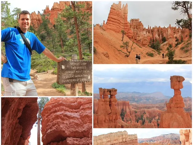 The Essential Role of Nature: The Limits of Solitude in Preservation