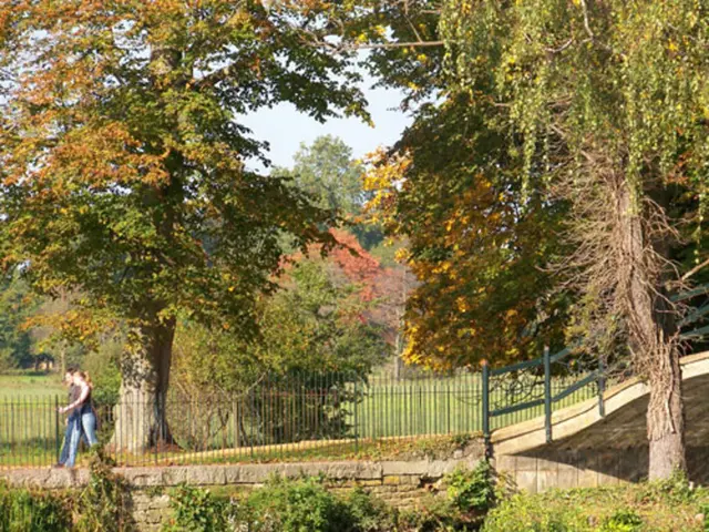 Illinois State Park showcases a spacious, picturesque lake, offering budget-friendly camping...