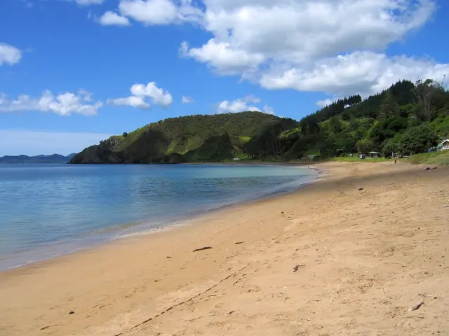 Holiday-bound Wolfenbütteler plans to visit the North Sea one final time, seeking to feel the sands...