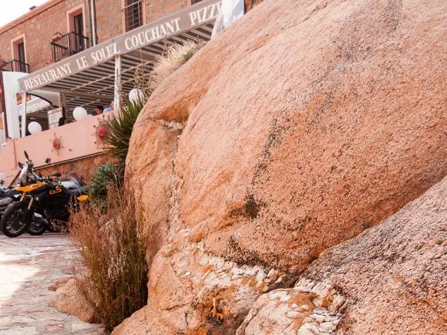 Homeowner halts demolition of unauthorized construction by negotiating to convert property into...