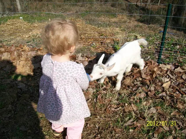 Wildflower season officially begins at West Coast National Park