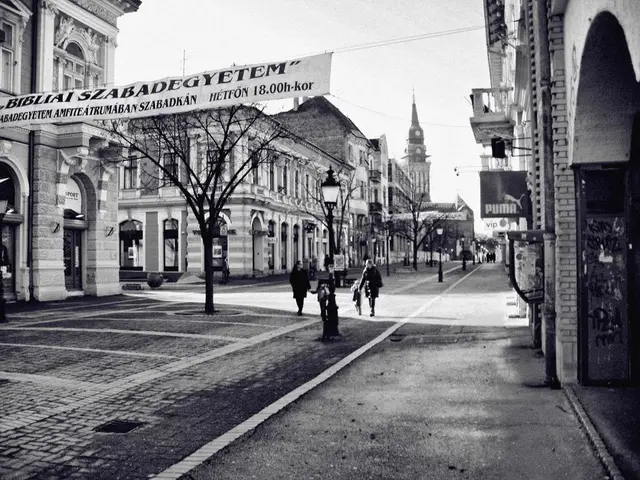 Obstructed Flow on Solmsstraße