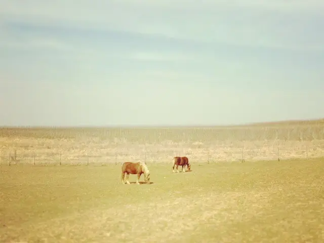Britain's indigenous livestock breeds hold the key to preserving our rural landscapes.