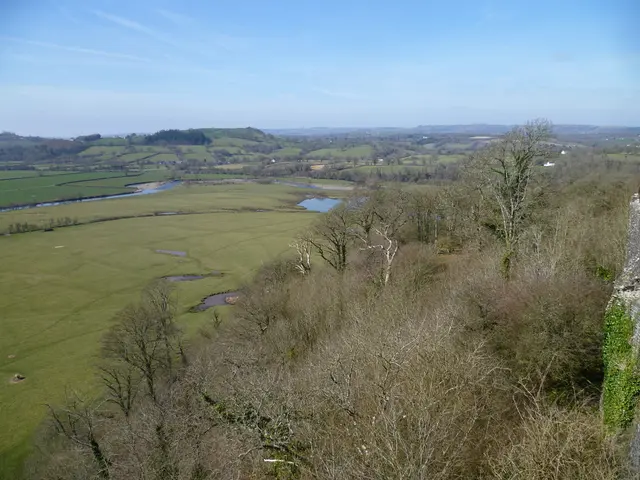 Island of Formentera, nestled between ancient Phoenician marshlands and the iconic windmill of Pink...